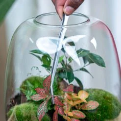 ESSCHERT DESIGN Extra Long Terrarium Tweezer - 26 Cm - Stainless Steel -UrbanJngl Terrarium Plants tweezer terrarium long stainless steel flaschengarten 003