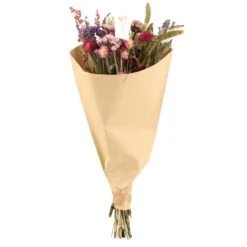 Dried Flowers - Surprise Bouquet - At The Value Of € 39,50 9 Dried Flowers - Surprise Bouquet - At The Value Of € 39,50 -UrbanJngl Terrarium Plants unnamed 17bb917c f030 47cb ab23 400c56ee05d4