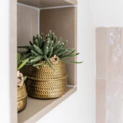 Groove Gold Plant Set | Set With White Phalaenopsis Orchid And Small & Large Succulent - Gold Ceramic Pots Included -UrbanJngl Terrarium Plants unnamed 6a484283 2029 4b45 b2bf 90b94d9033ec