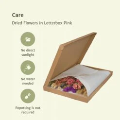 Dried Flowers In Letterbox Pink - Dried Bouquet - 35cm - Ø10 -UrbanJngl Terrarium Plants unnamed 8fc1de49 1a9f 4282 be90 365a28773455
