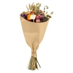 Dried Flowers - Surprise Bouquet - At The Value Of € 39,50 11 Dried Flowers - Surprise Bouquet - At The Value Of € 39,50 -UrbanJngl Terrarium Plants unnamed cc205864 1950 4e80 8166 654e0d110c28 1